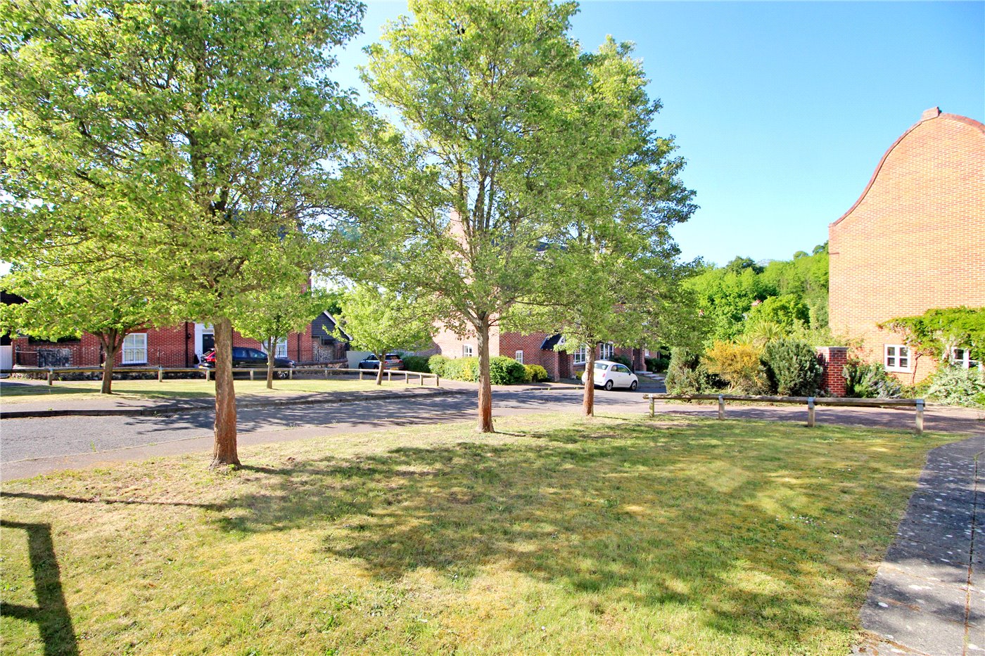 Front Views